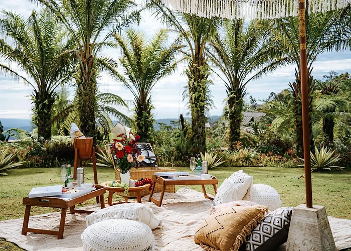 Elevate Bali *