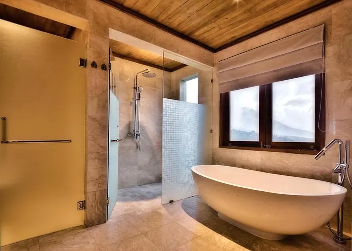 Elevate Bali Villa Munduk (Bali)